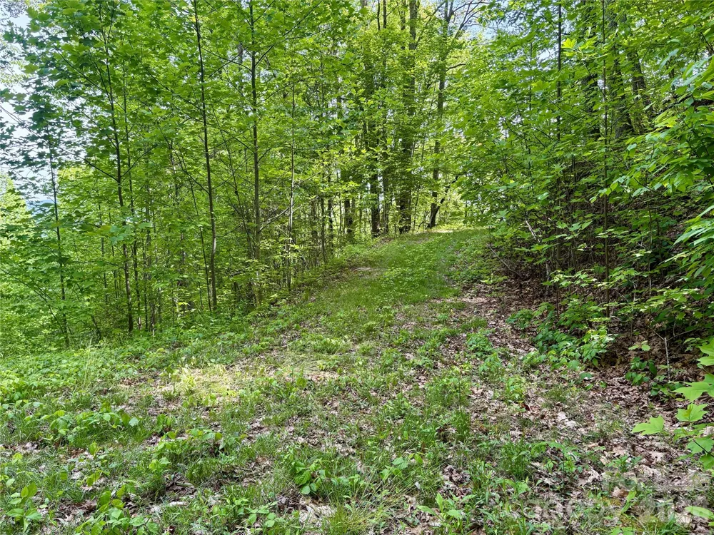 0 Carpenter Road Bryson City, NC 28713