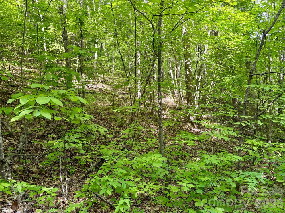 0 Carpenter Road Bryson City, NC 28713