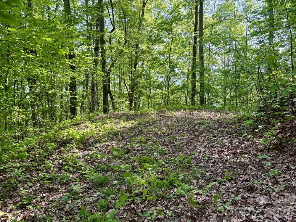 0 Carpenter Road Bryson City, NC 28713