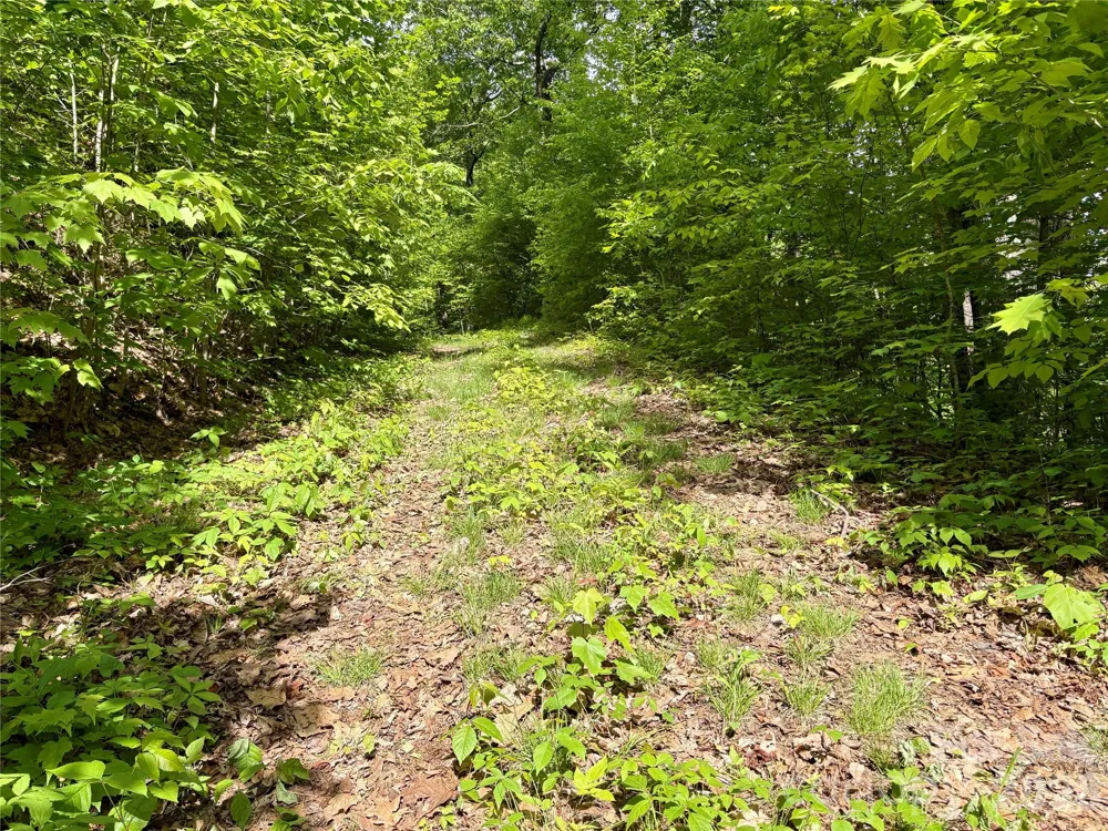 0 Carpenter Road Bryson City, NC 28713