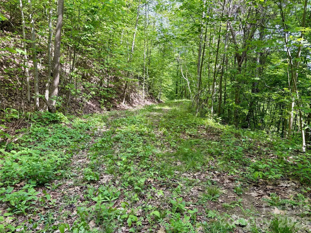 0 Carpenter Road Bryson City, NC 28713