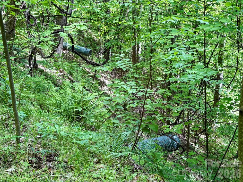 0 Carpenter Road Bryson City, NC 28713
