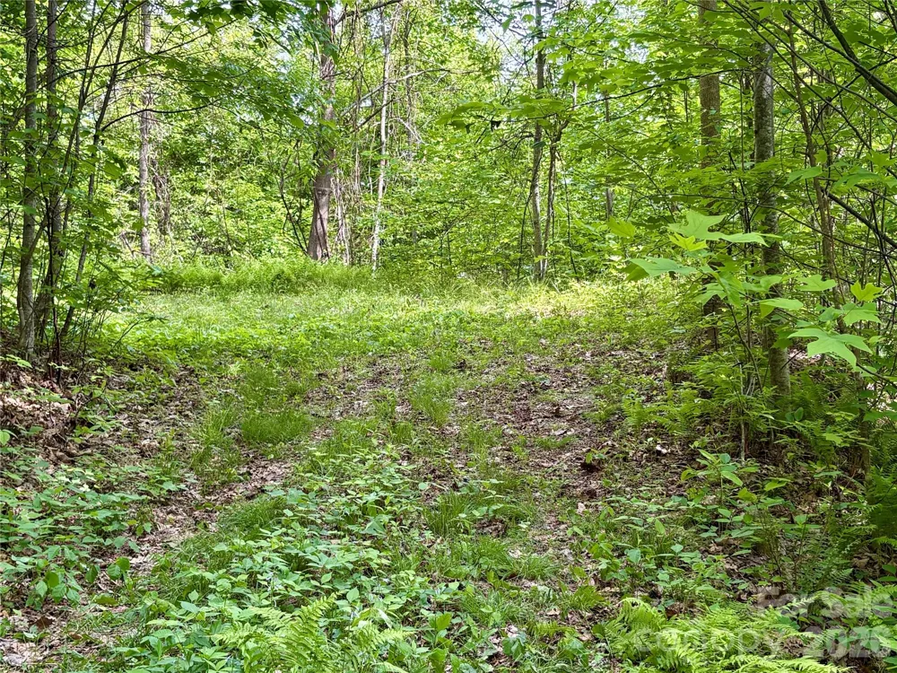 0 Carpenter Road Bryson City, NC 28713