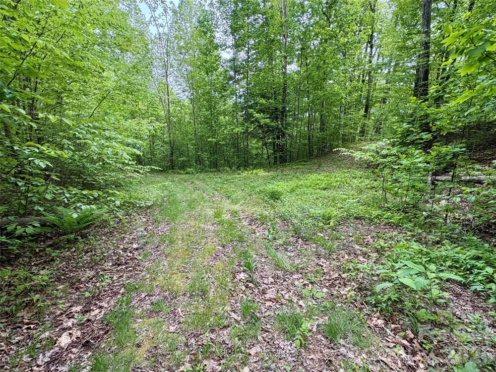 0 Carpenter Road Bryson City, NC 28713