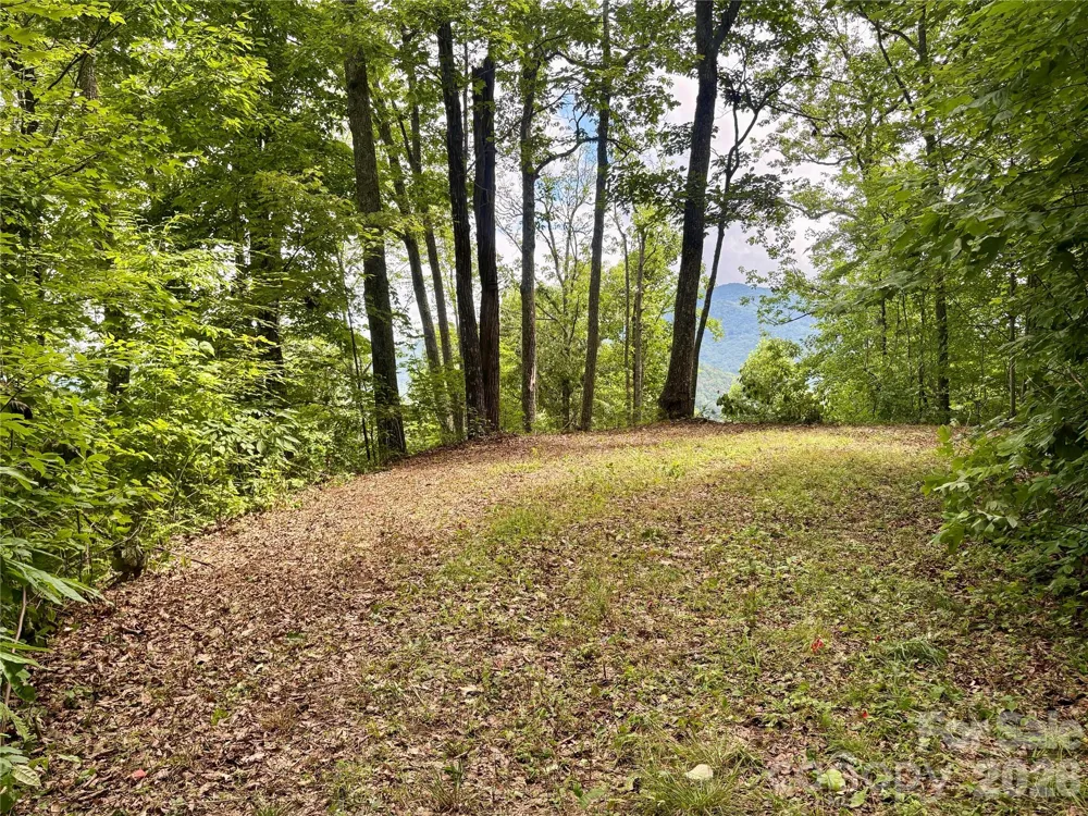 0 Carpenter Road Bryson City, NC 28713