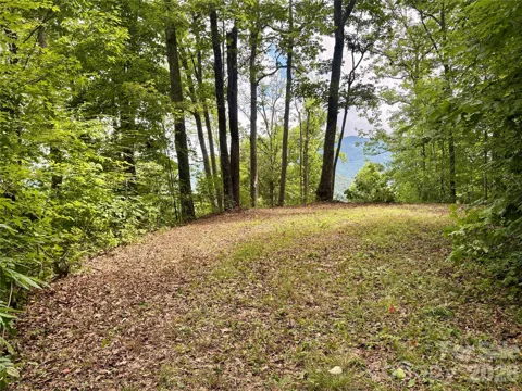 0 Carpenter Road