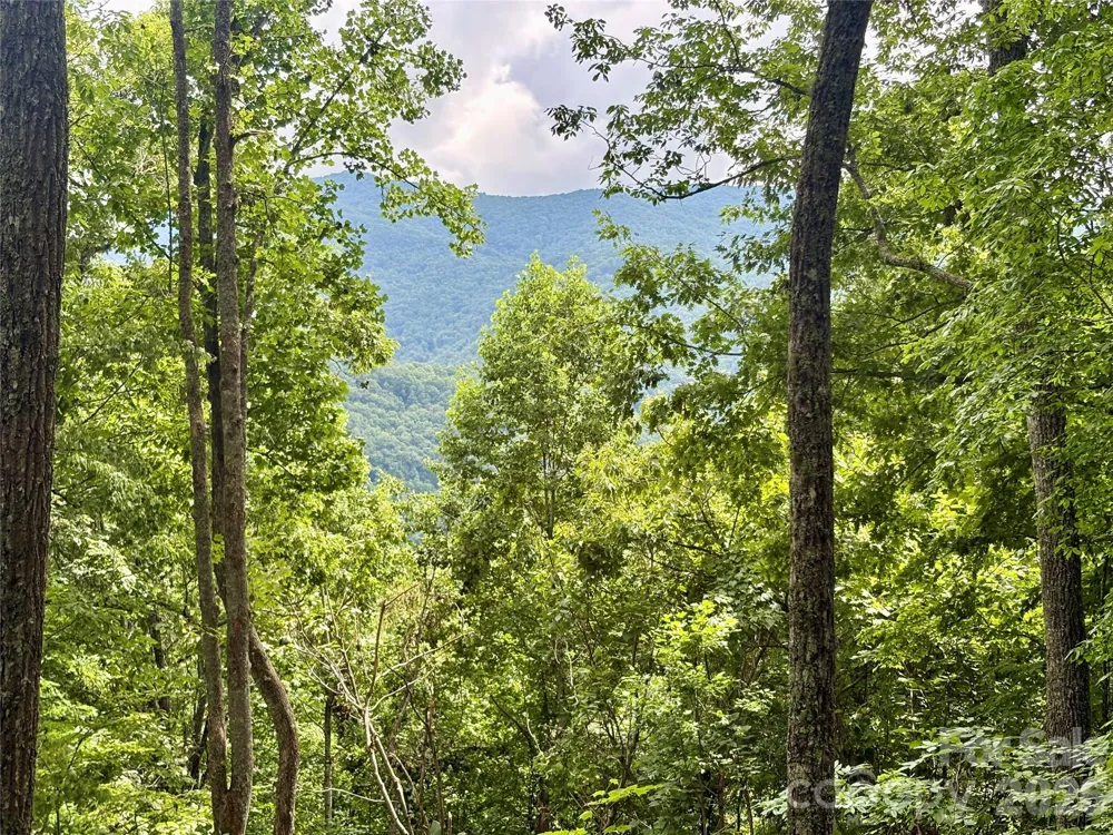 0 Carpenter Road Bryson City, NC 28713