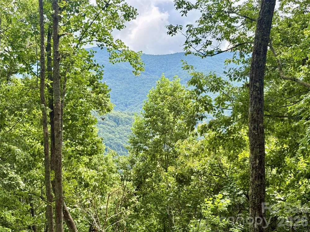 0 Carpenter Road Bryson City, NC 28713