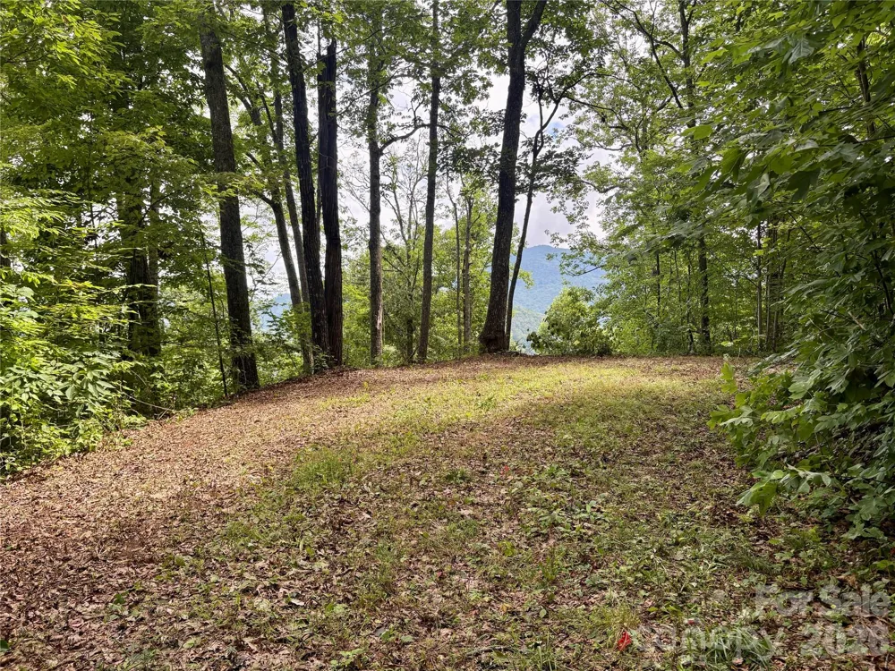 0 Carpenter Road Bryson City, NC 28713
