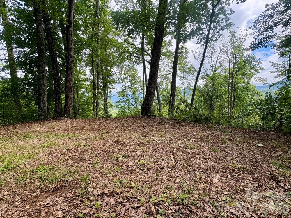 0 Carpenter Road Bryson City, NC 28713