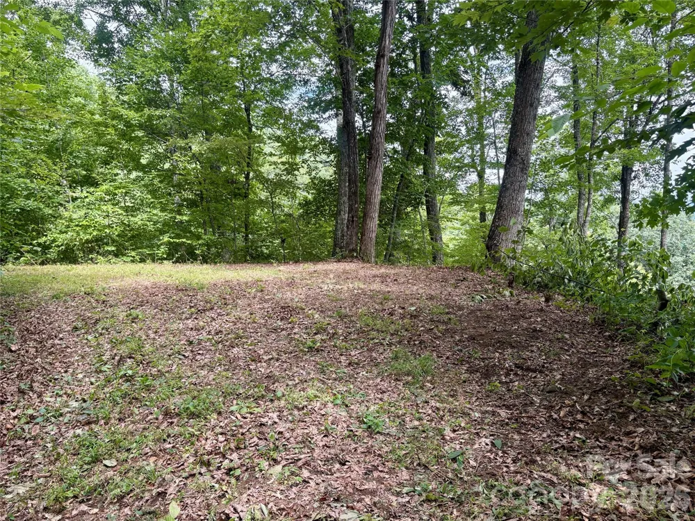 0 Carpenter Road Bryson City, NC 28713