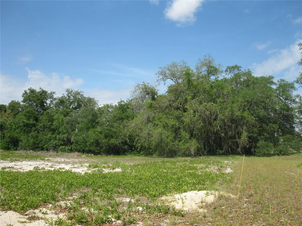 4199 JACARANDA DRIVE Lake Wales, FL 33898