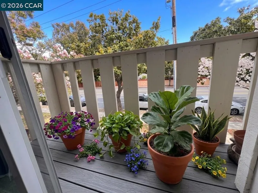 1815 Wildbrook Ct #C Concord, CA 94521