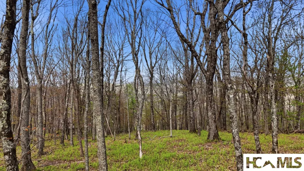 Lot 5 Misty Ridge Trail Glenville, NC 28736