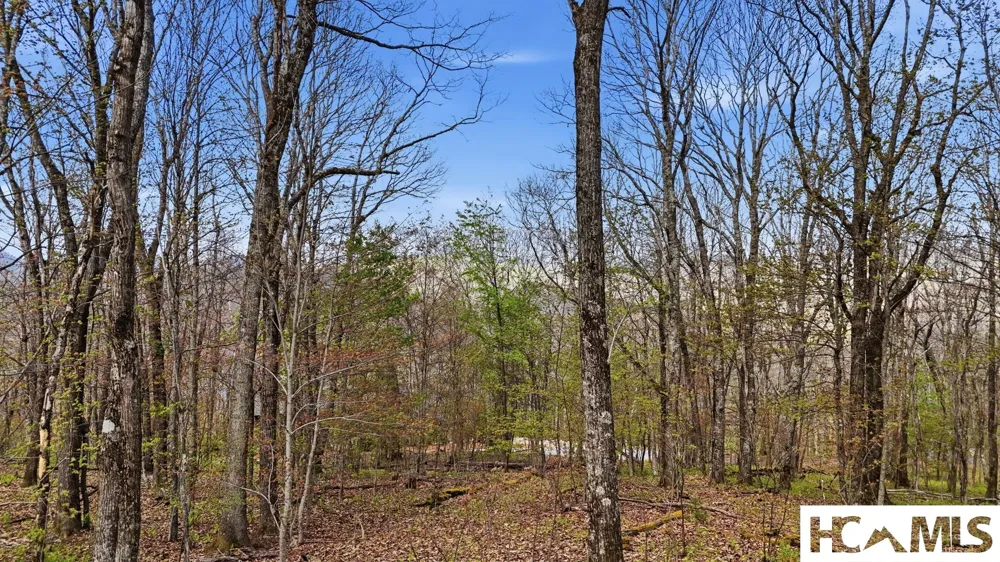 Lot 5 Misty Ridge Trail Glenville, NC 28736