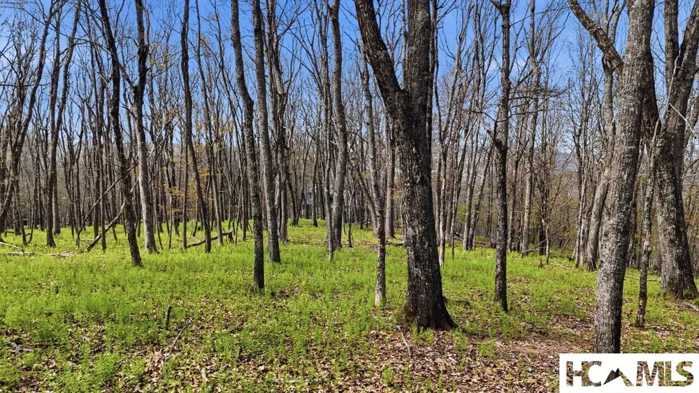 Lot 5 Misty Ridge Trail Glenville, NC 28736