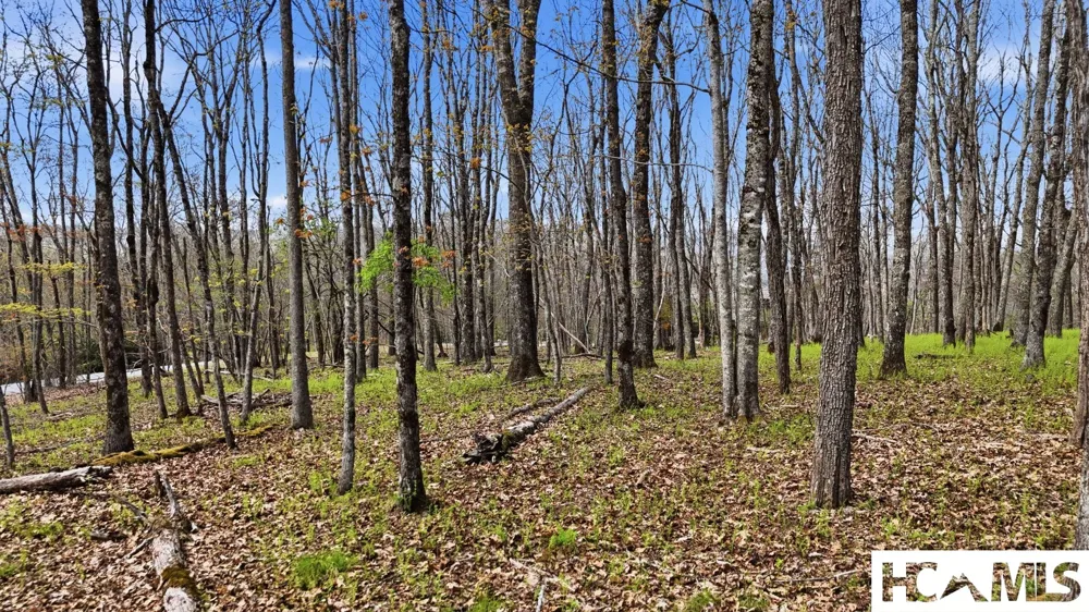 Lot 5 Misty Ridge Trail Glenville, NC 28736