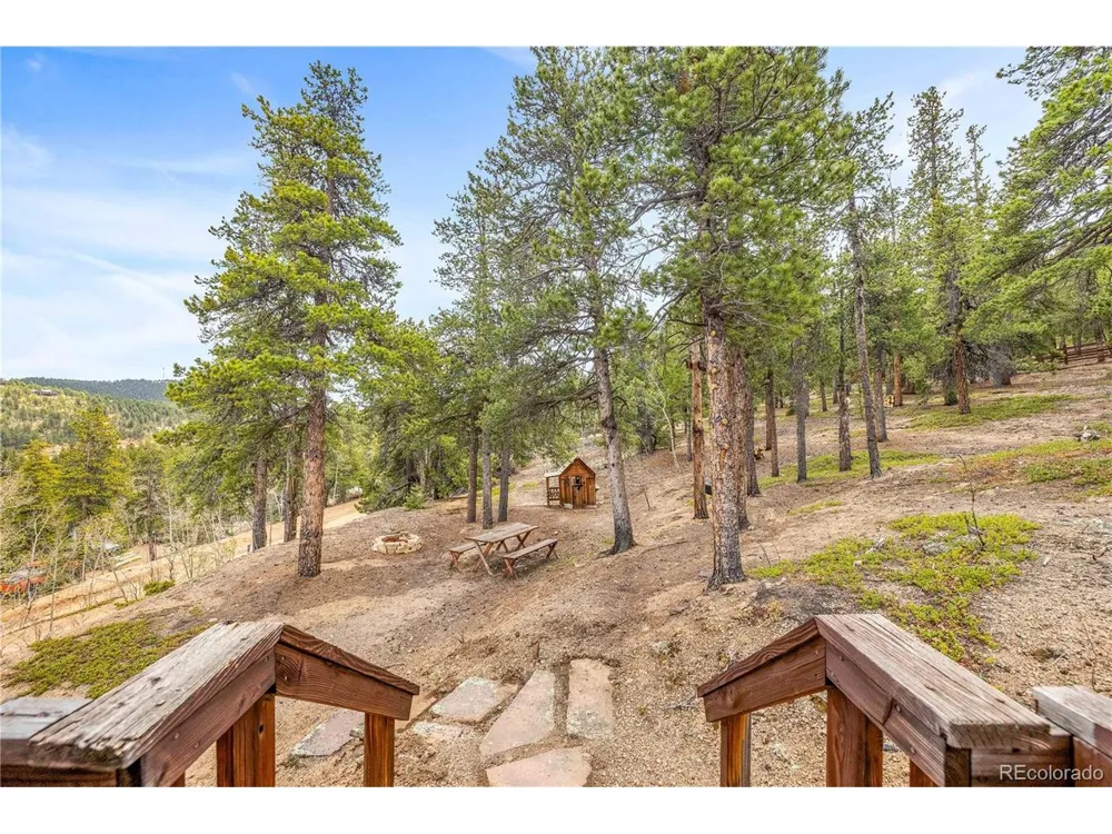 125 Road P62 Bailey, CO 80421