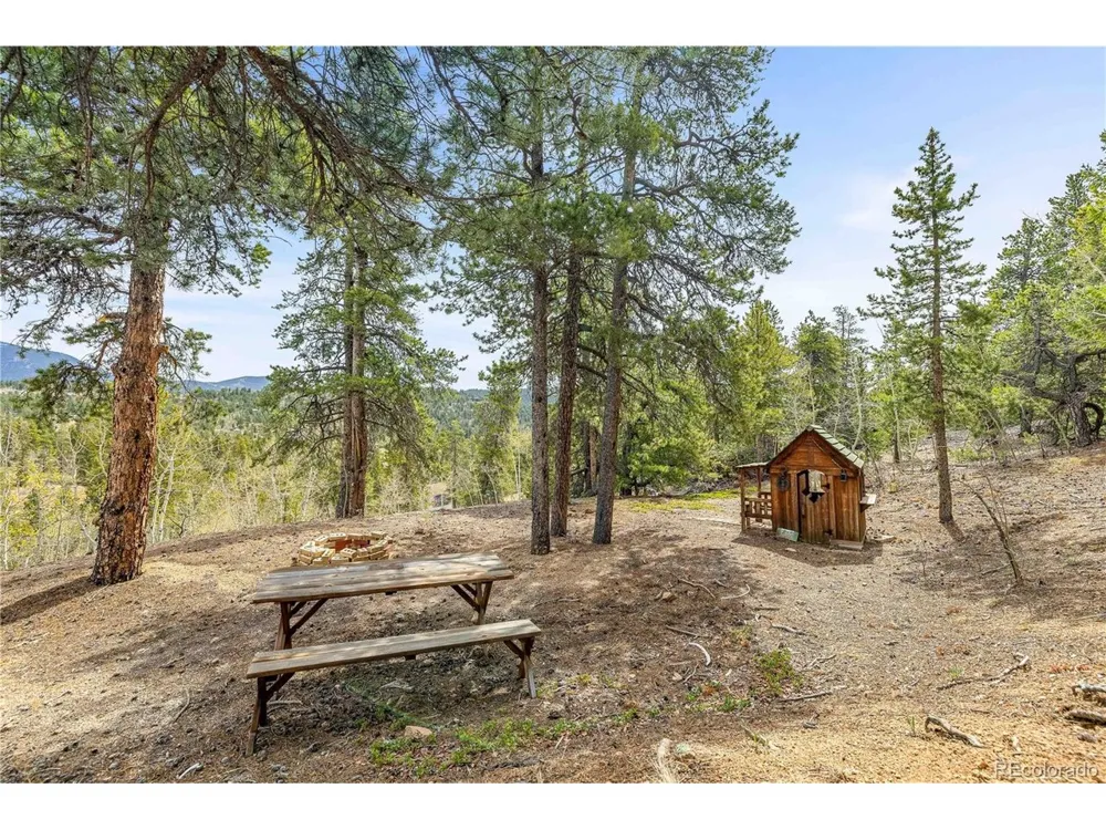 125 Road P62 Bailey, CO 80421