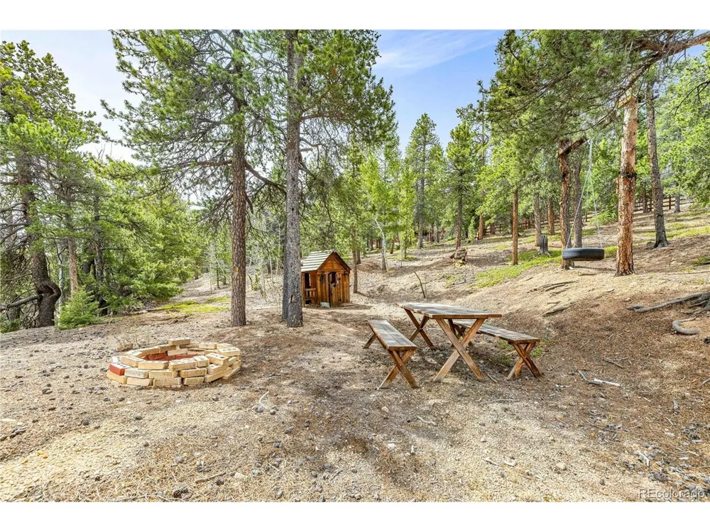 125 Road P62 Bailey, CO 80421