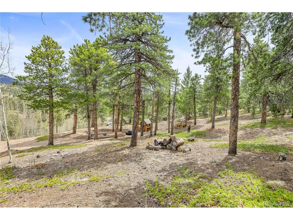 125 Road P62 Bailey, CO 80421