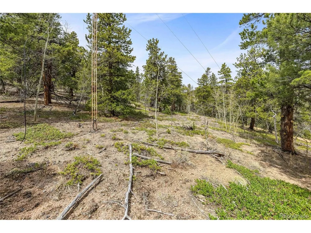 125 Road P62 Bailey, CO 80421