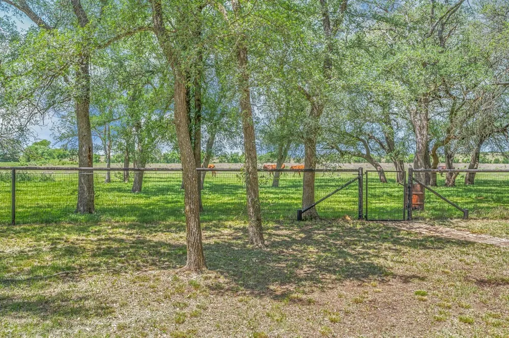 8606 Fm 219 Clifton, TX 76634