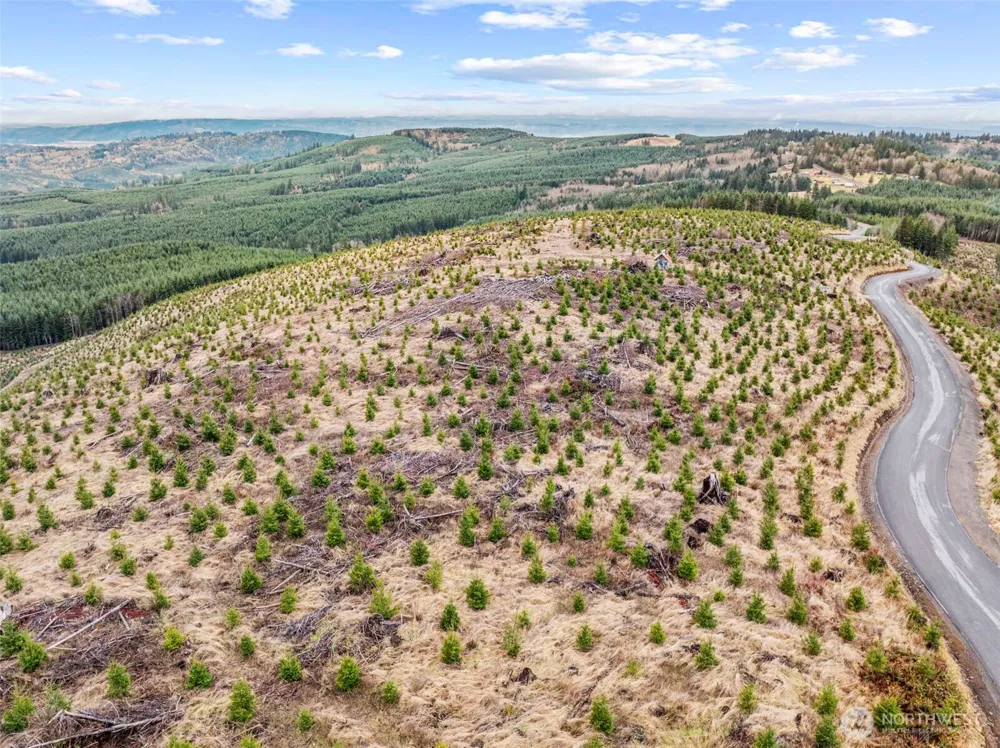 0 Lot 2 Mt Brynion Road Kelso, WA 98626