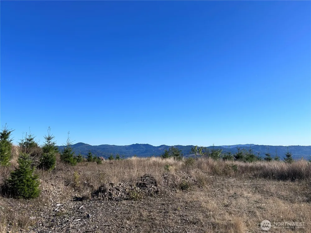 0 Lot 2 Mt Brynion Road Kelso, WA 98626