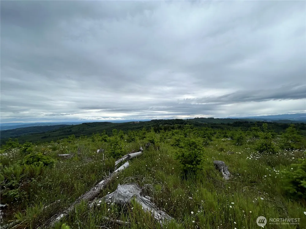 0 Lot 2 Mt Brynion Road Kelso, WA 98626