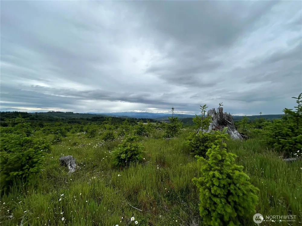 0 Lot 2 Mt Brynion Road Kelso, WA 98626