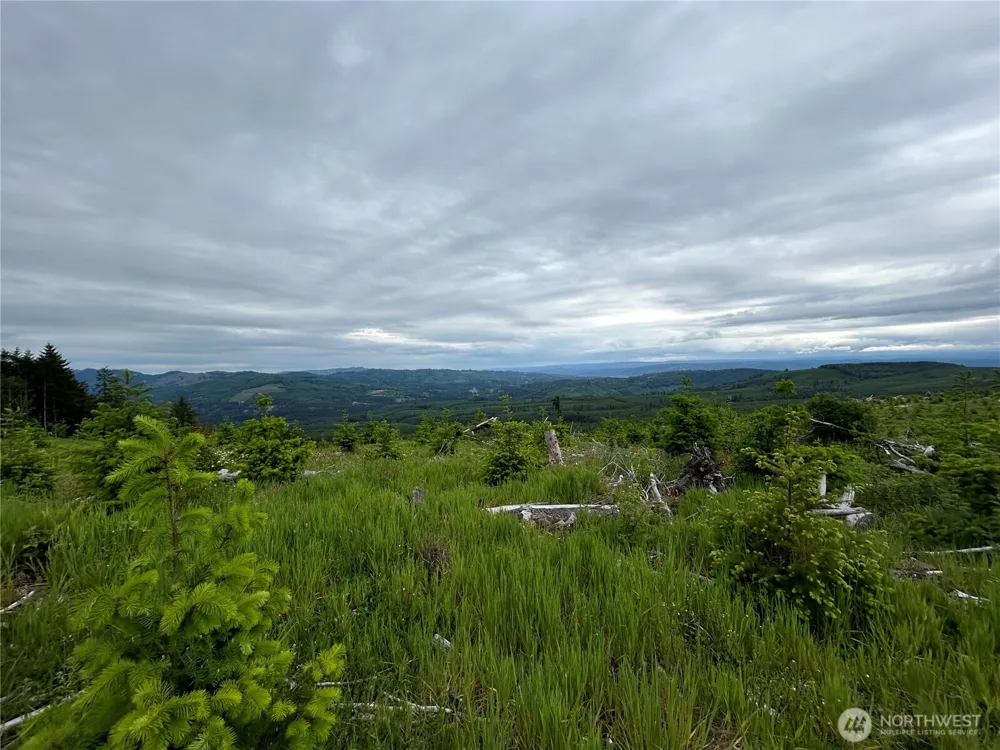 0 Lot 2 Mt Brynion Road Kelso, WA 98626
