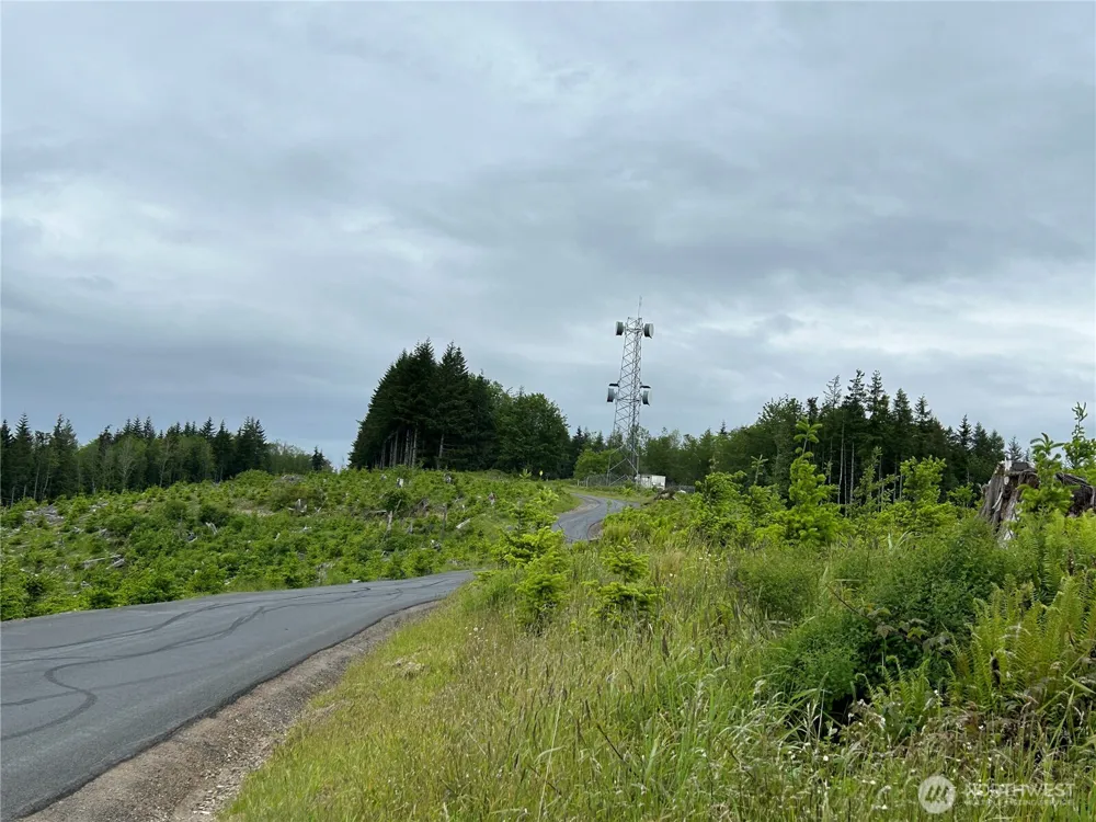 0 Lot 2 Mt Brynion Road Kelso, WA 98626
