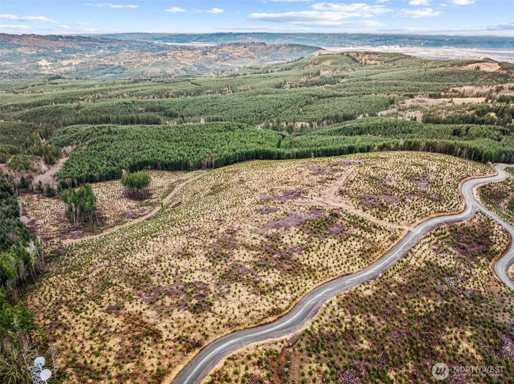 0 Lot 2 Mt Brynion Road Kelso, WA 98626