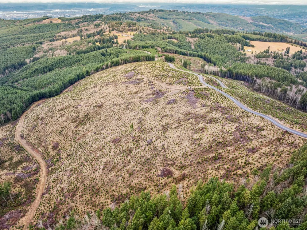 0 Lot 2 Mt Brynion Road Kelso, WA 98626