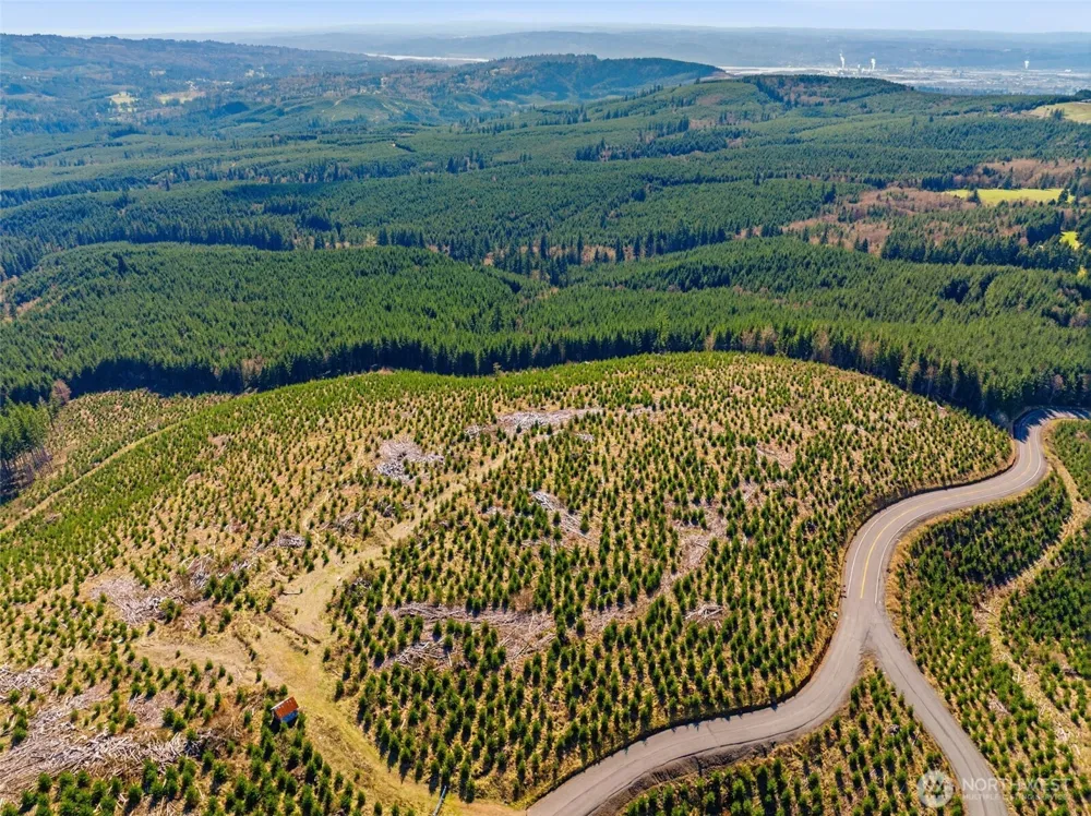 0 Lot 2 Mt Brynion Road Kelso, WA 98626