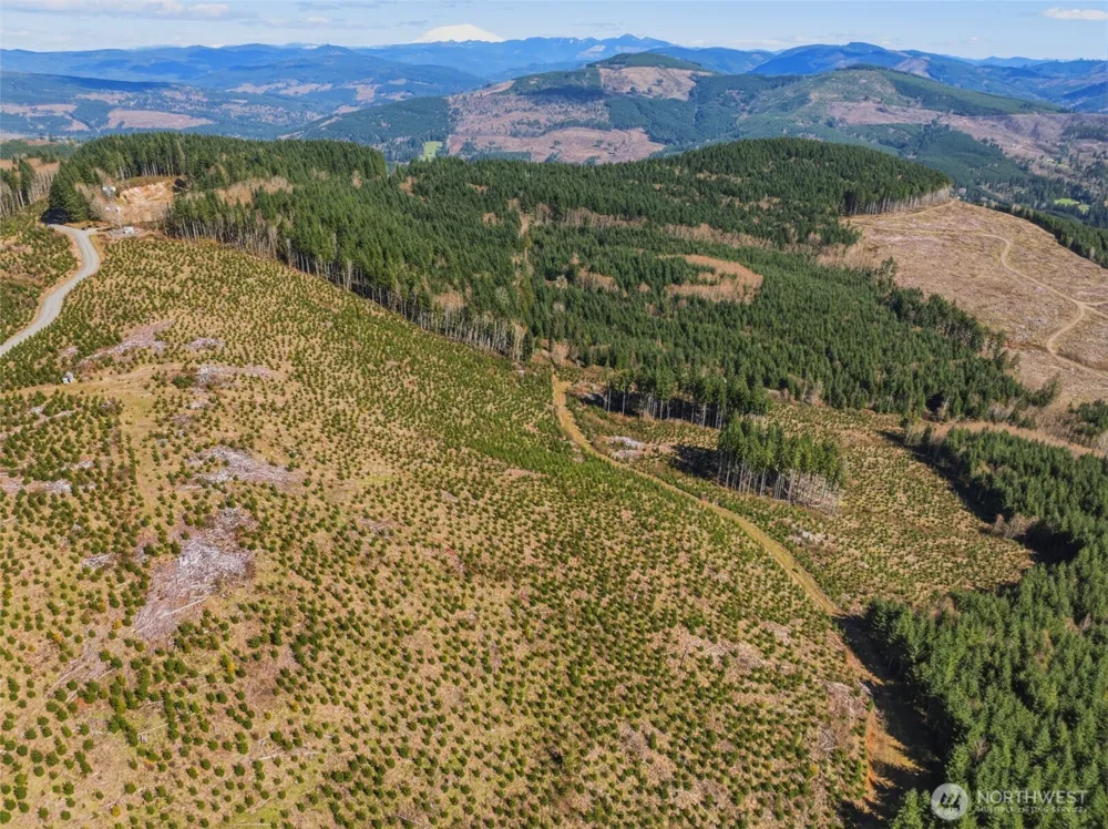 0 Lot 2 Mt Brynion Road Kelso, WA 98626