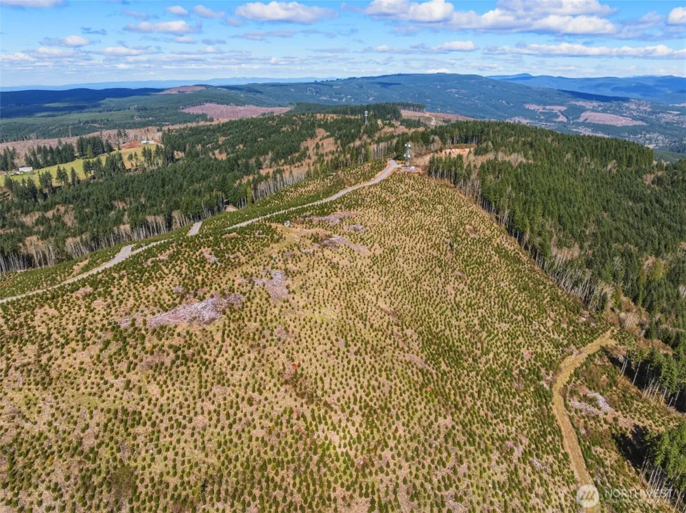 0 Lot 2 Mt Brynion Road Kelso, WA 98626