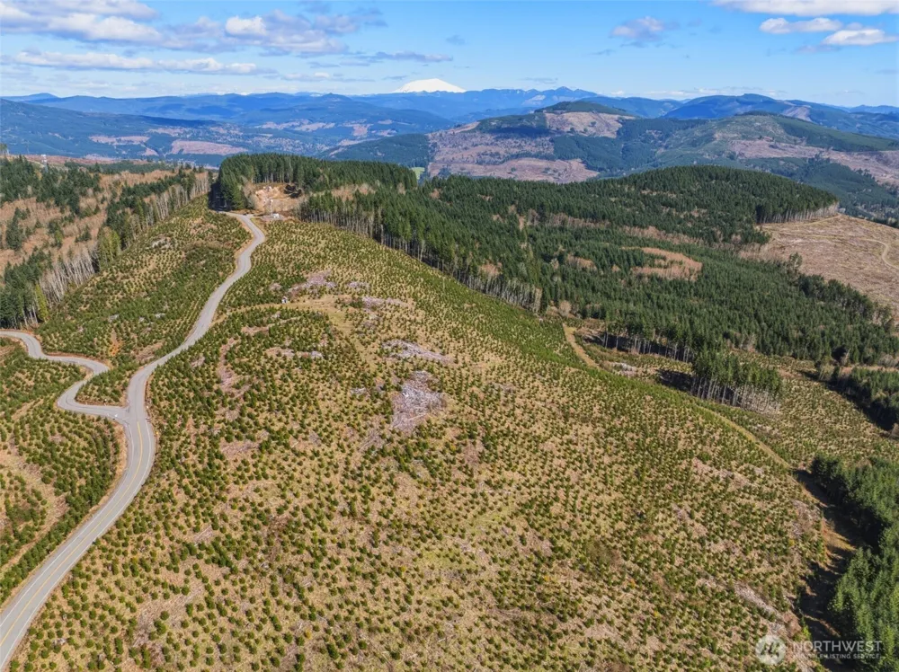 0 Lot 2 Mt Brynion Road Kelso, WA 98626