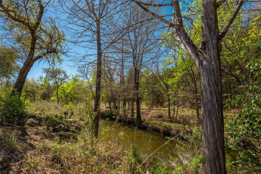 115 Legacy Oaks Ranch Drive Johnson City, TX 78636