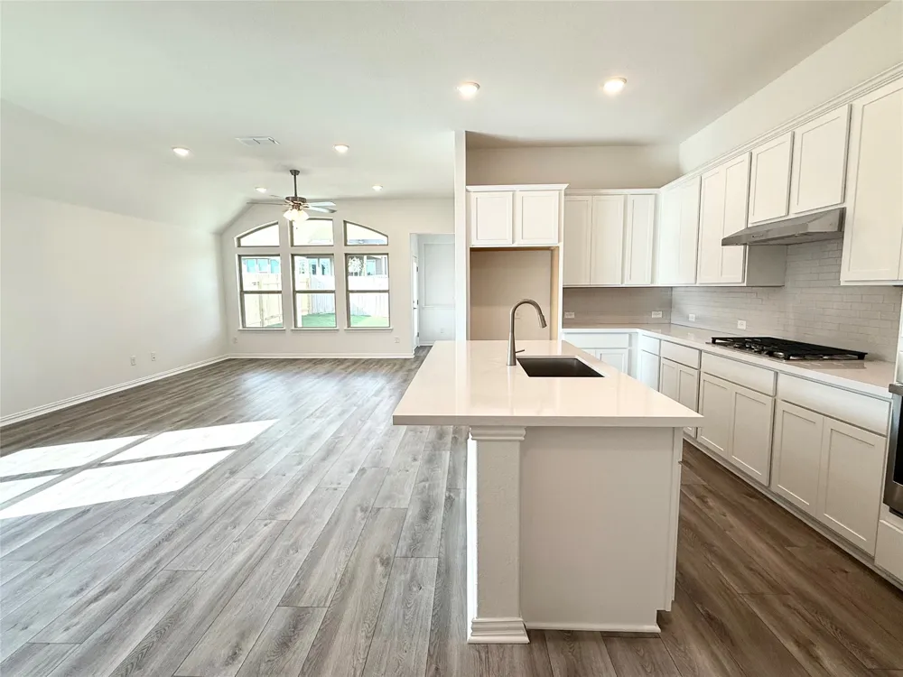 20424 Cassidy Lane Manor, TX 78653