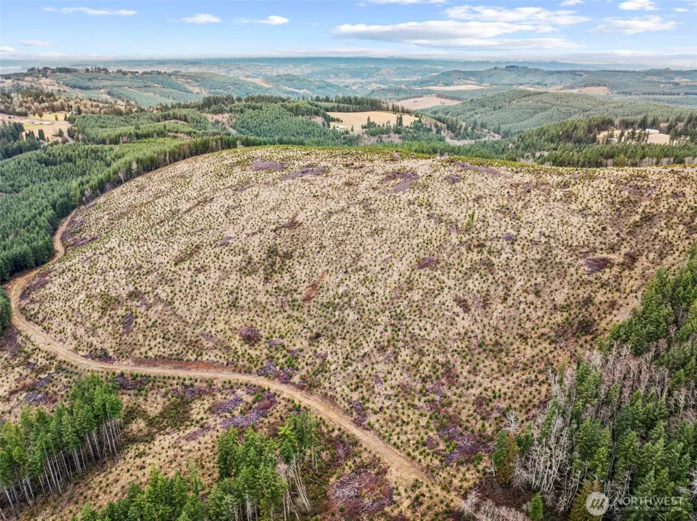 0 Lot 4 Hamilton Heights Road Kelso, WA 98626