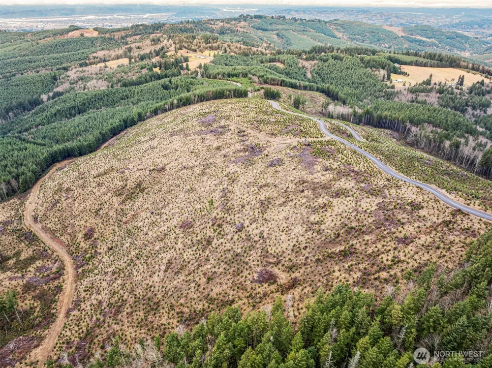 0 Lot 4 Hamilton Heights Road Kelso, WA 98626
