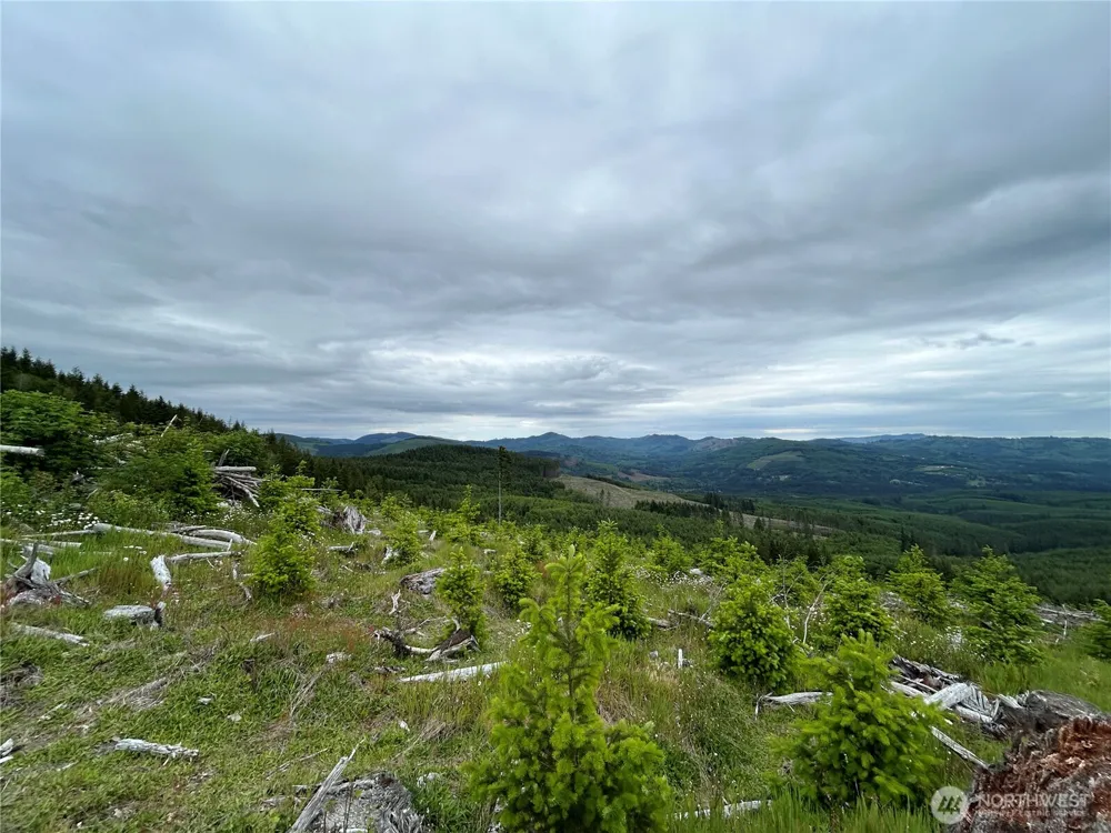 0 Lot 4 Hamilton Heights Road Kelso, WA 98626