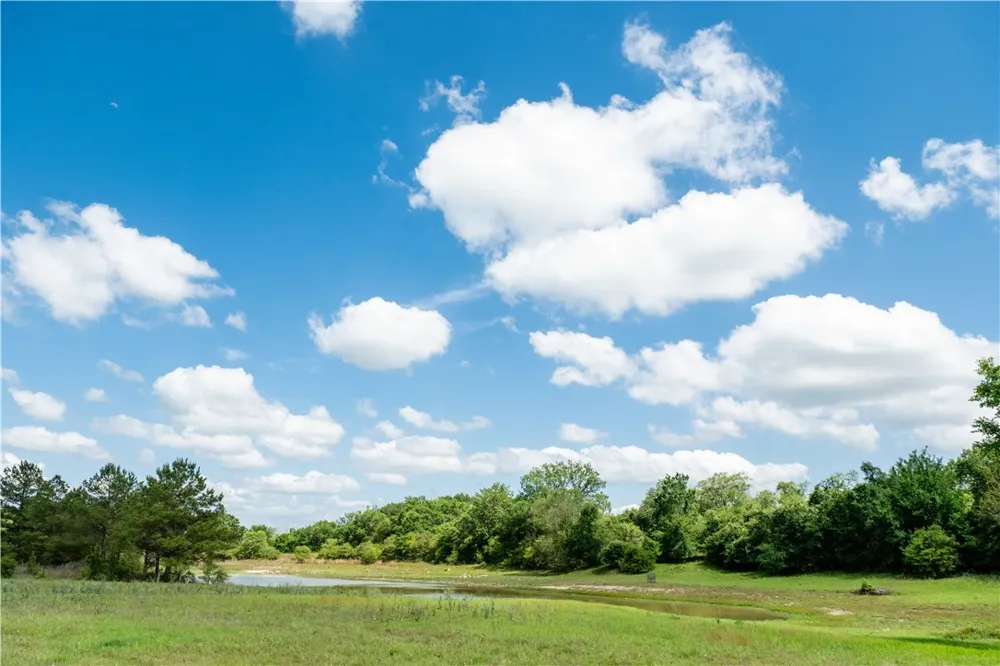 2199 Navasota Ridge (Pvt) Navasota, TX 77868