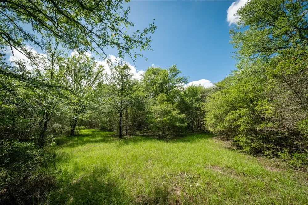 2199 Navasota Ridge (Pvt) Navasota, TX 77868