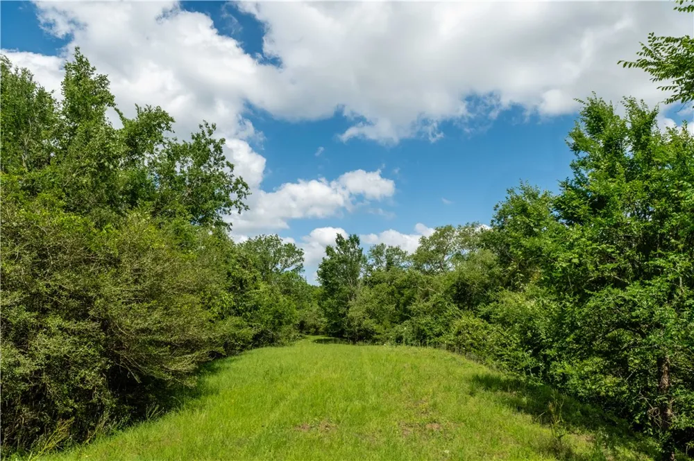 2199 Navasota Ridge (Pvt) Navasota, TX 77868