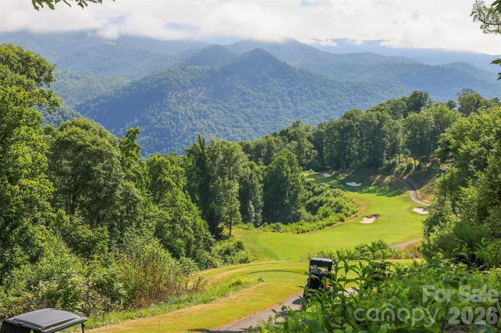 83 Allspice Court Tuckasegee, NC 28783