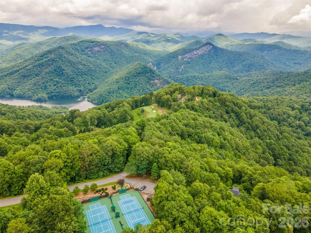 83 Allspice Court Tuckasegee, NC 28783