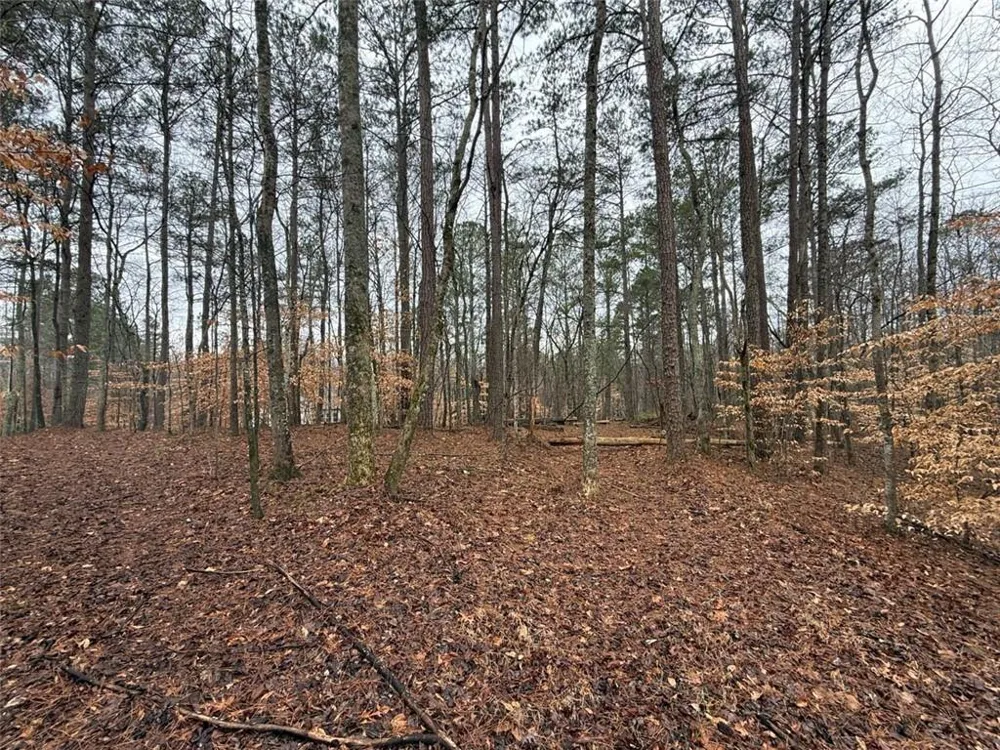 1666 Rock Springs Lane Woodstock, GA 30188